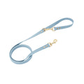 Harnais pour chiens et chats et laisses pour marcher
