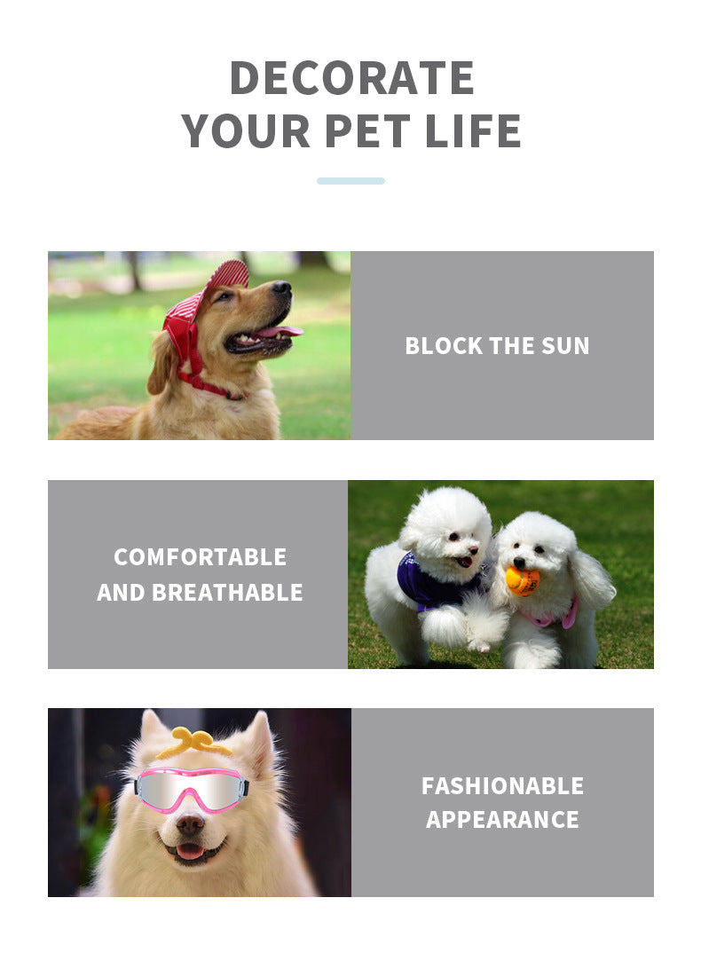 Accessoires de lunettes de protection contre le vent pour chiens de ski