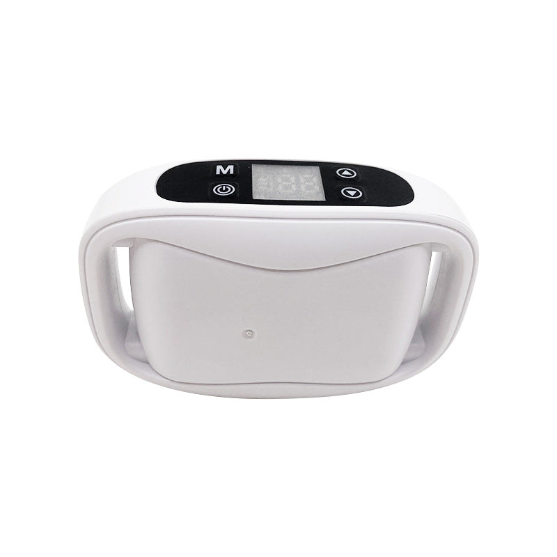 Electronic Dog Trainer Stopper GPS sans fil