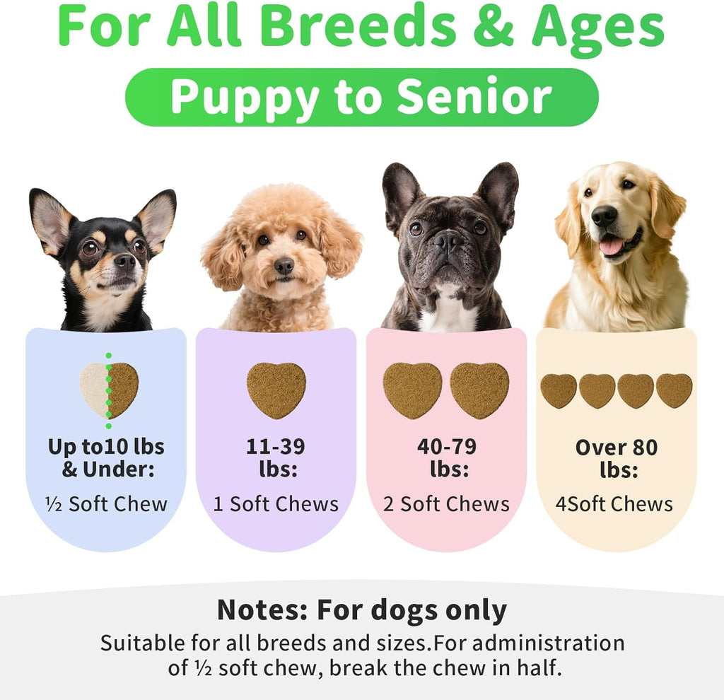 Probiotiques pour chiens Enzymes digestifs