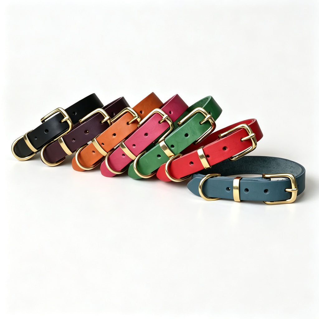 Collier pour animaux de style vintage avec fixations en laiton