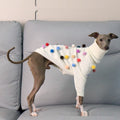 Chandail de Noël de Whippet