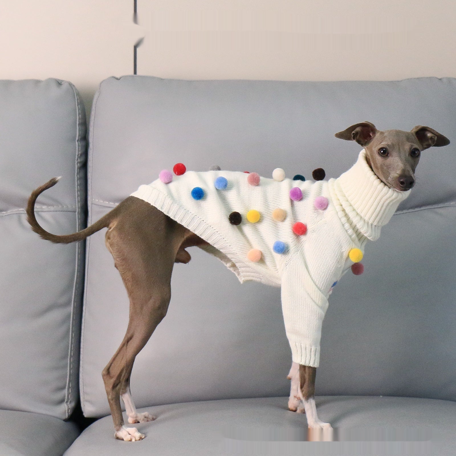 Chandail de Noël de Whippet