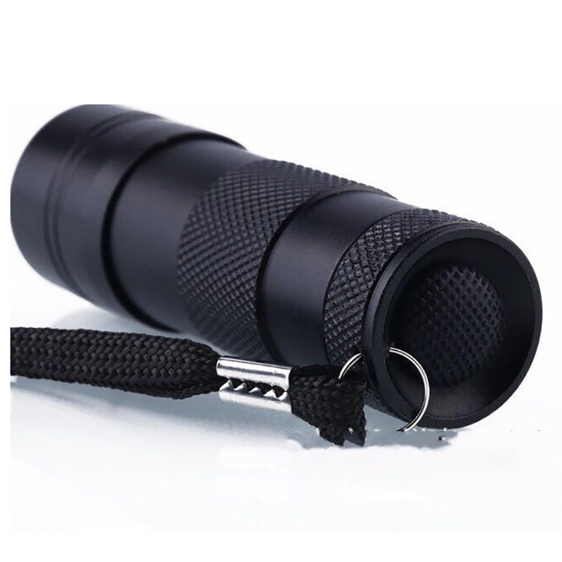 Portable Violet Light Detection Flashlight