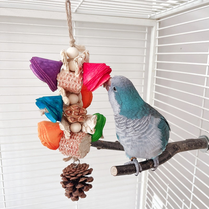 Matériel naturel Jouet de perroquet Pendentif de cage d'oiseau