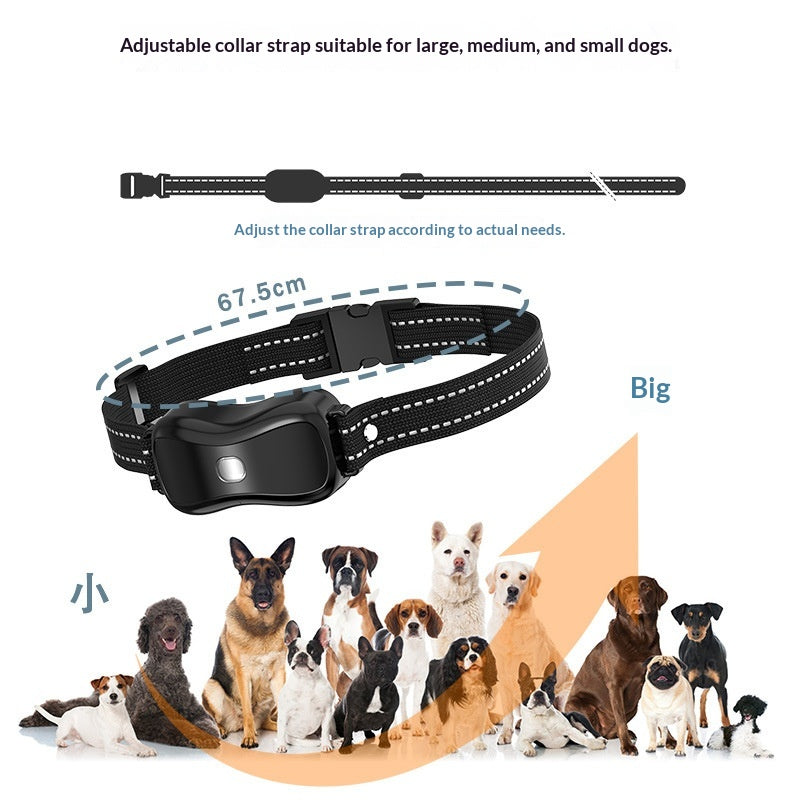 Appareil d'entraînement à distance 2-en-1 pour chien.