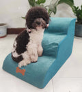 Éponge petit chien amovible et lavable