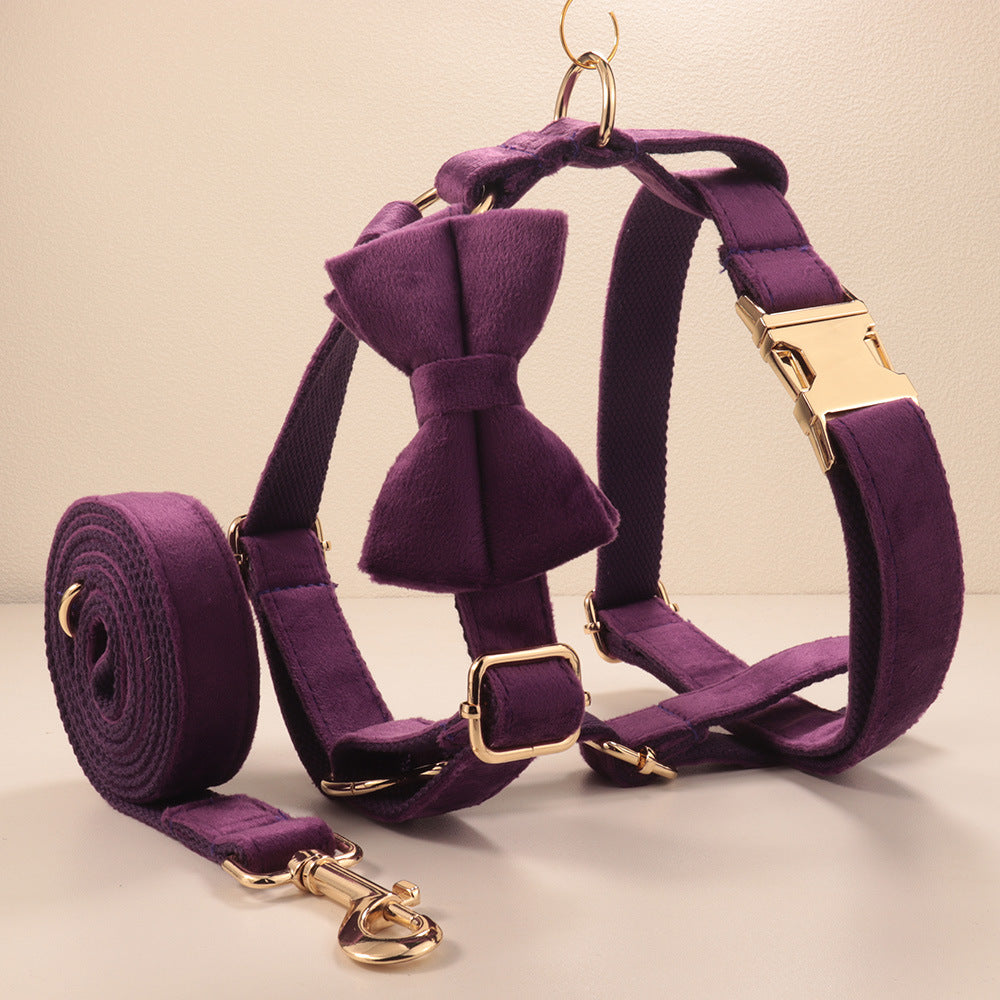Collier de chien de velours et jeu de tir