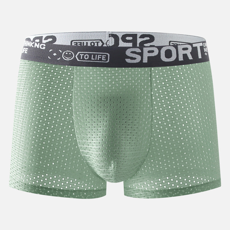 Sous-vêtements Hommes Ice Silk Mesh Boxers
