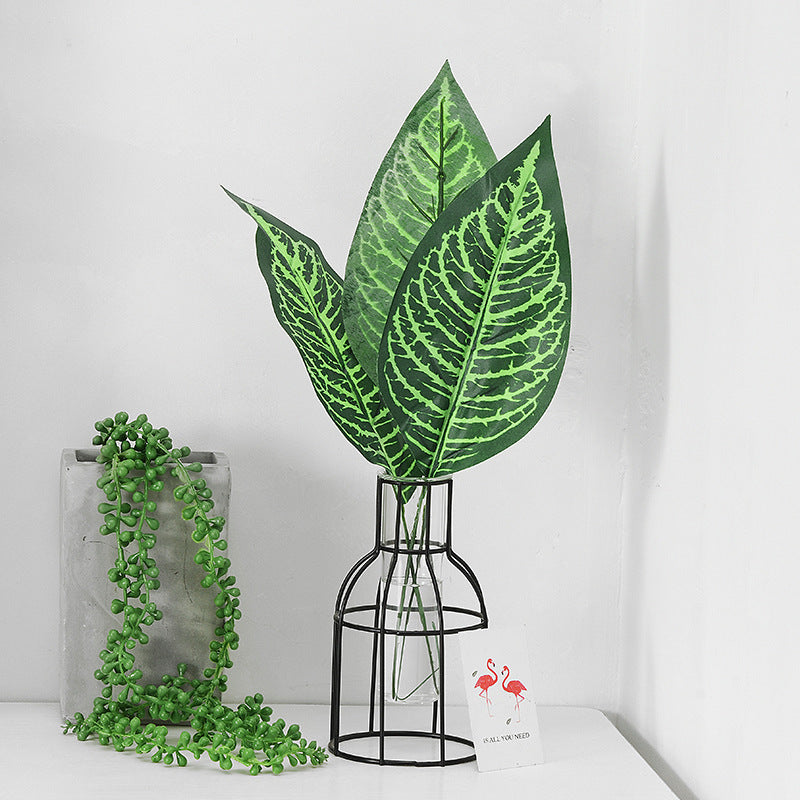 Plante de simulation des feuilles de tortue