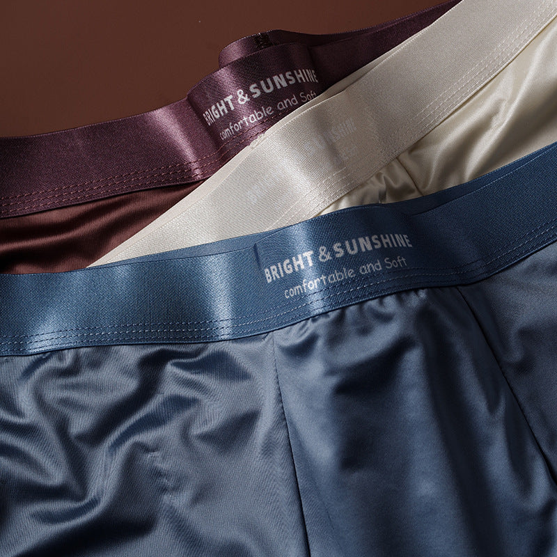 Sous-vêtements Hommes 10A Boxer antibactérien Breathable Sans couture