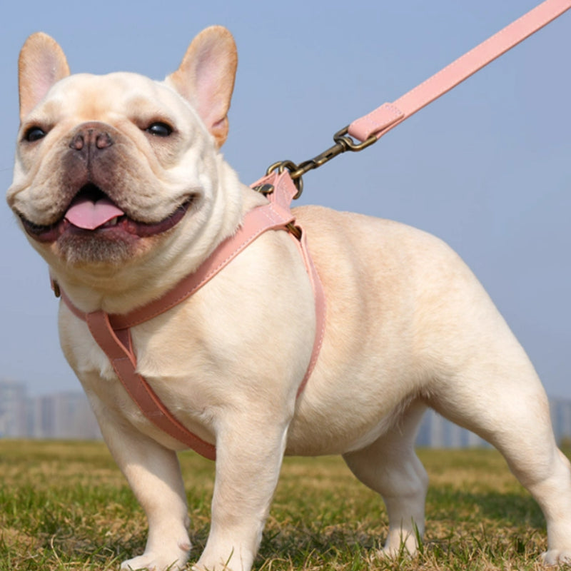 Harnais pour chiens de style Veste pour chiens de petite et moyenne taille