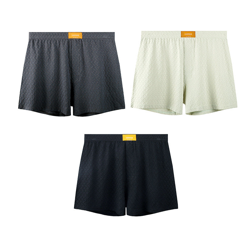 Hommes Solide-couleur Taille moyenne Texturé Boxer Slips