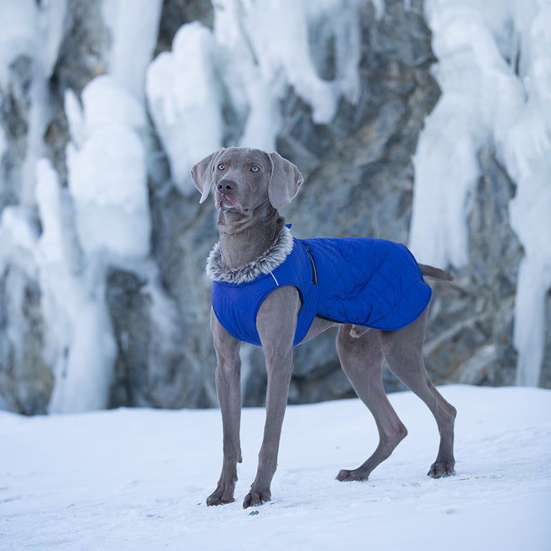 Vêtements pour animaux de compagnie Coton Coats Vente en gros