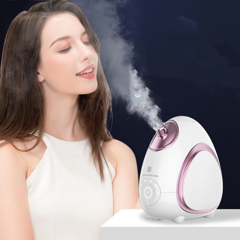Aromathérapie visage de ménage Steamer froid et chaud