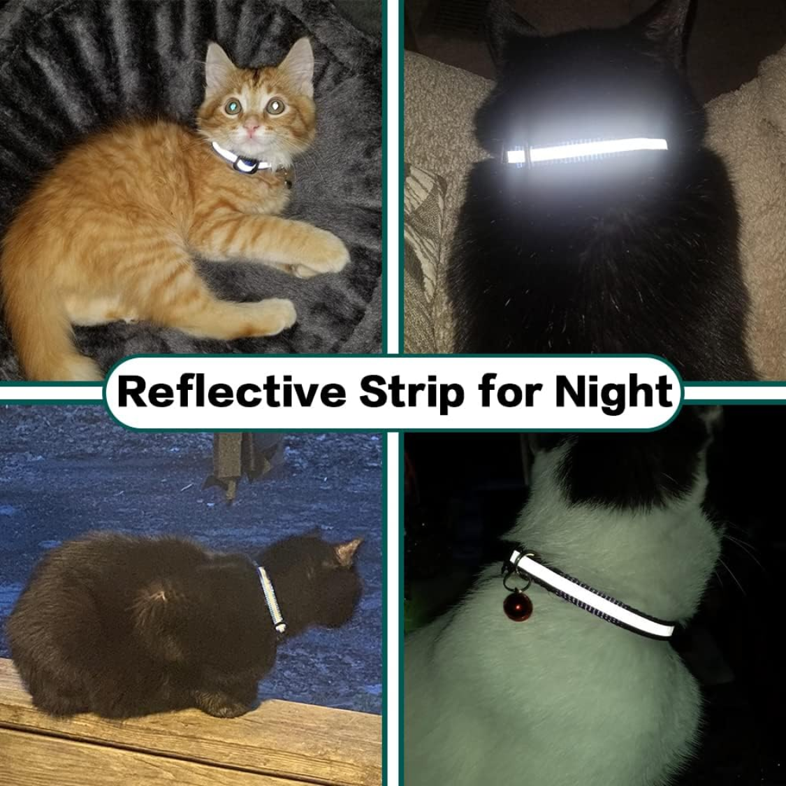 Cat collar fracture