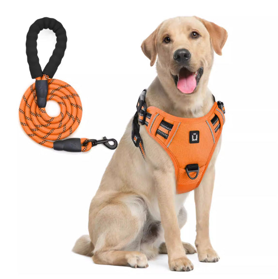 Harnais de chien et combo de laisse avec conception de preuve d'évasion