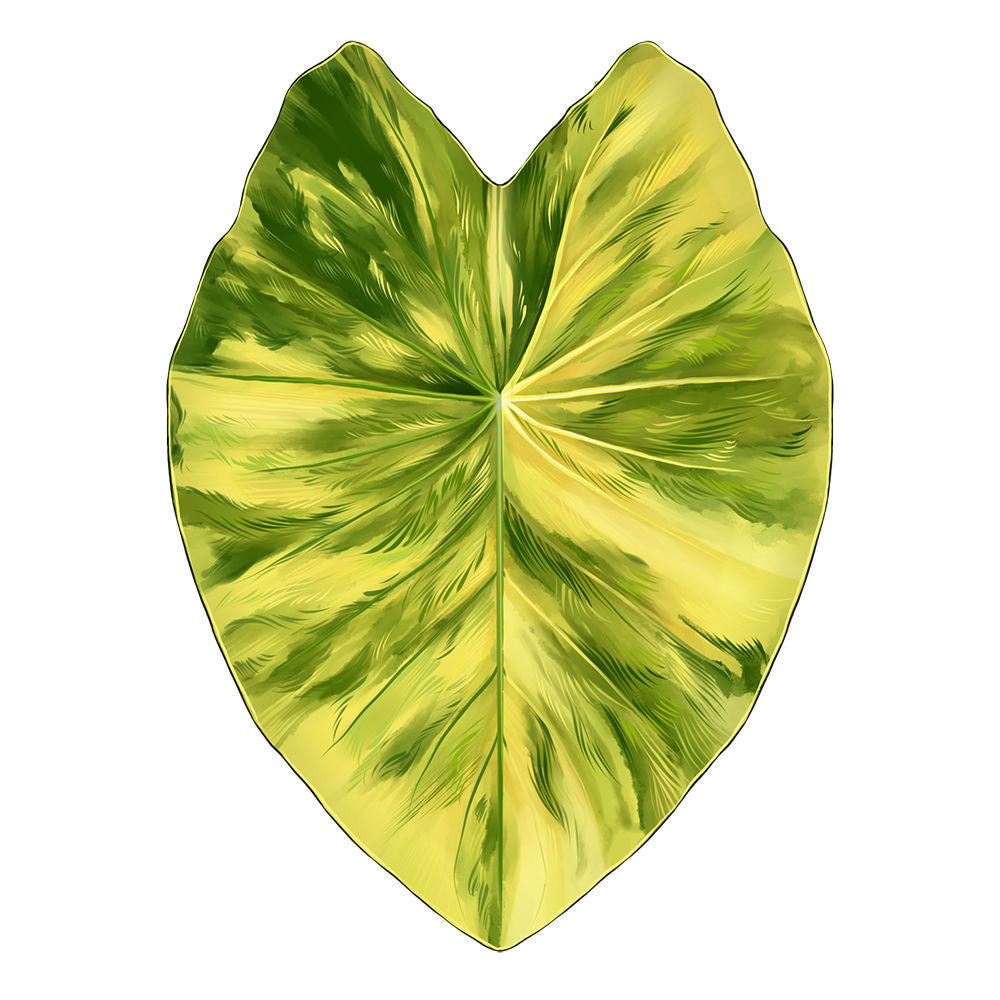Magic plants tropical plants Creative Greenery Refrigerator Magnets