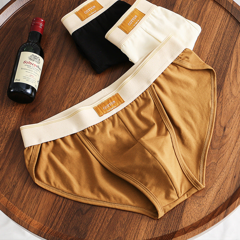 Slips en coton couleur solide pour hommes