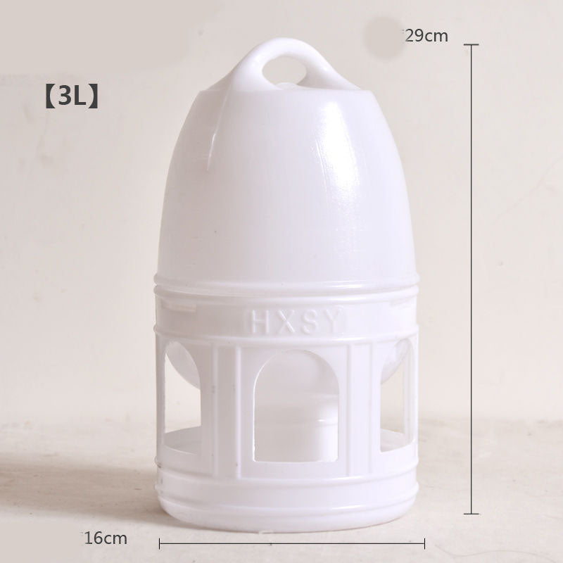 Bouteille à boire de pigeon