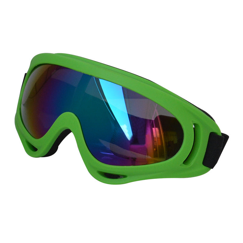 Lunettes de soleil extérieures pour chiens Décoration