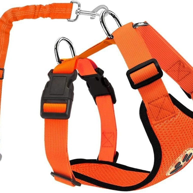 Pet Supplies Amazon Meilleure vente de chien laisse