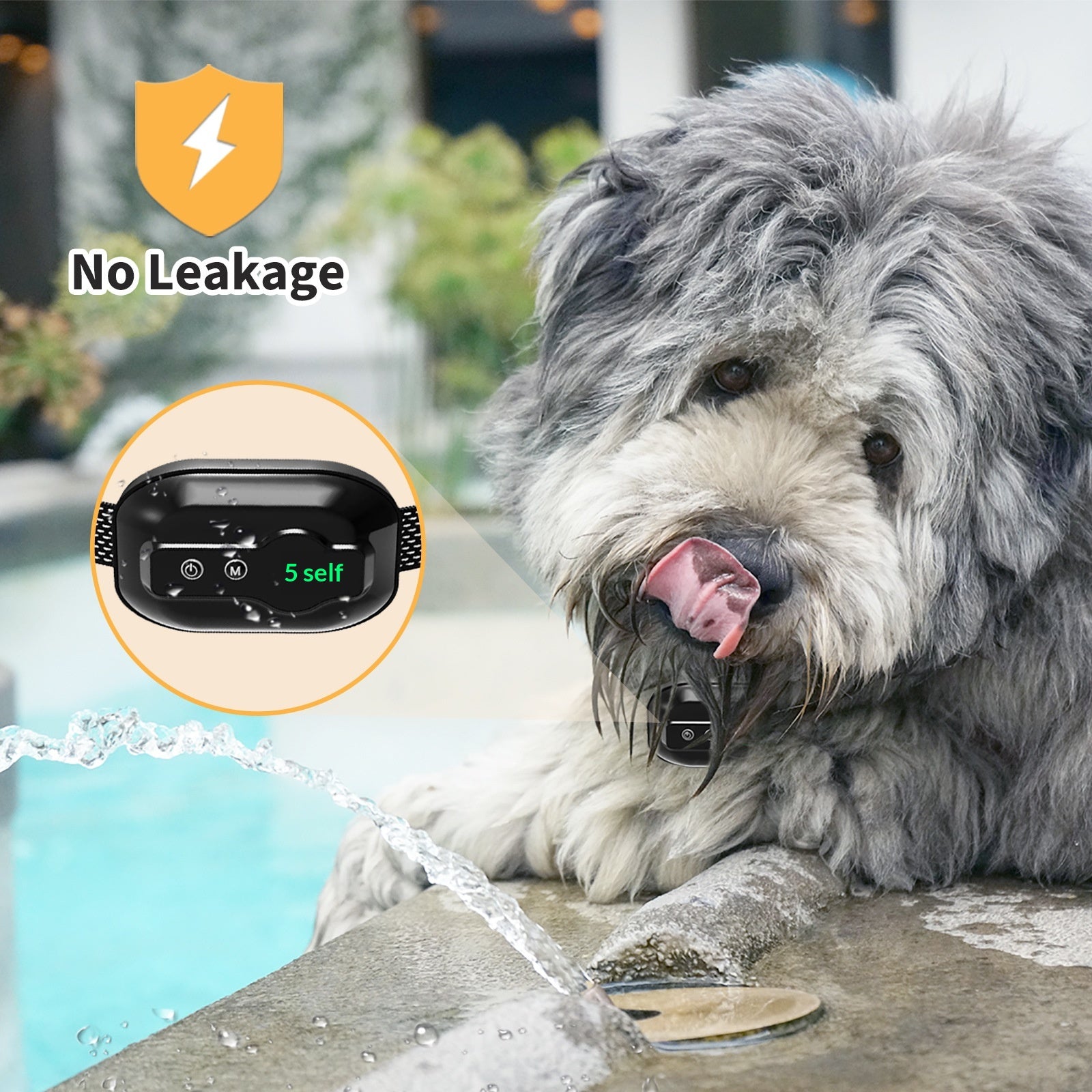 Dispositif d'entraînement à l'épreuve de l'eau de l'escroquerie pour chien intelligent