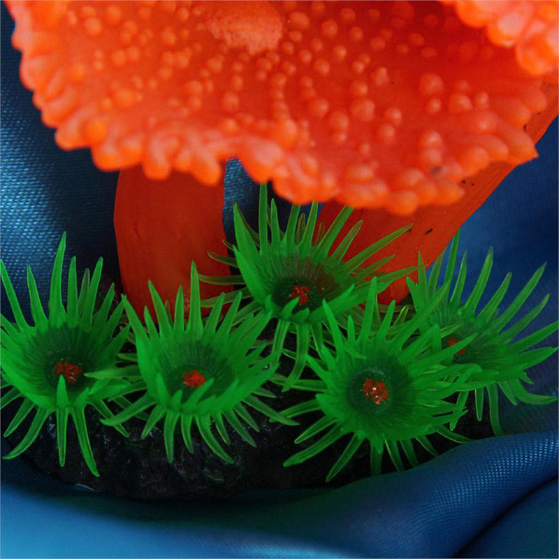 Simulation de plantes coralliennes