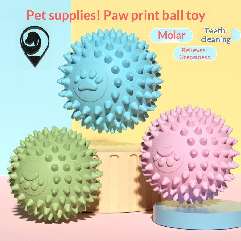 Balle de jouets pour chiens de compagnie