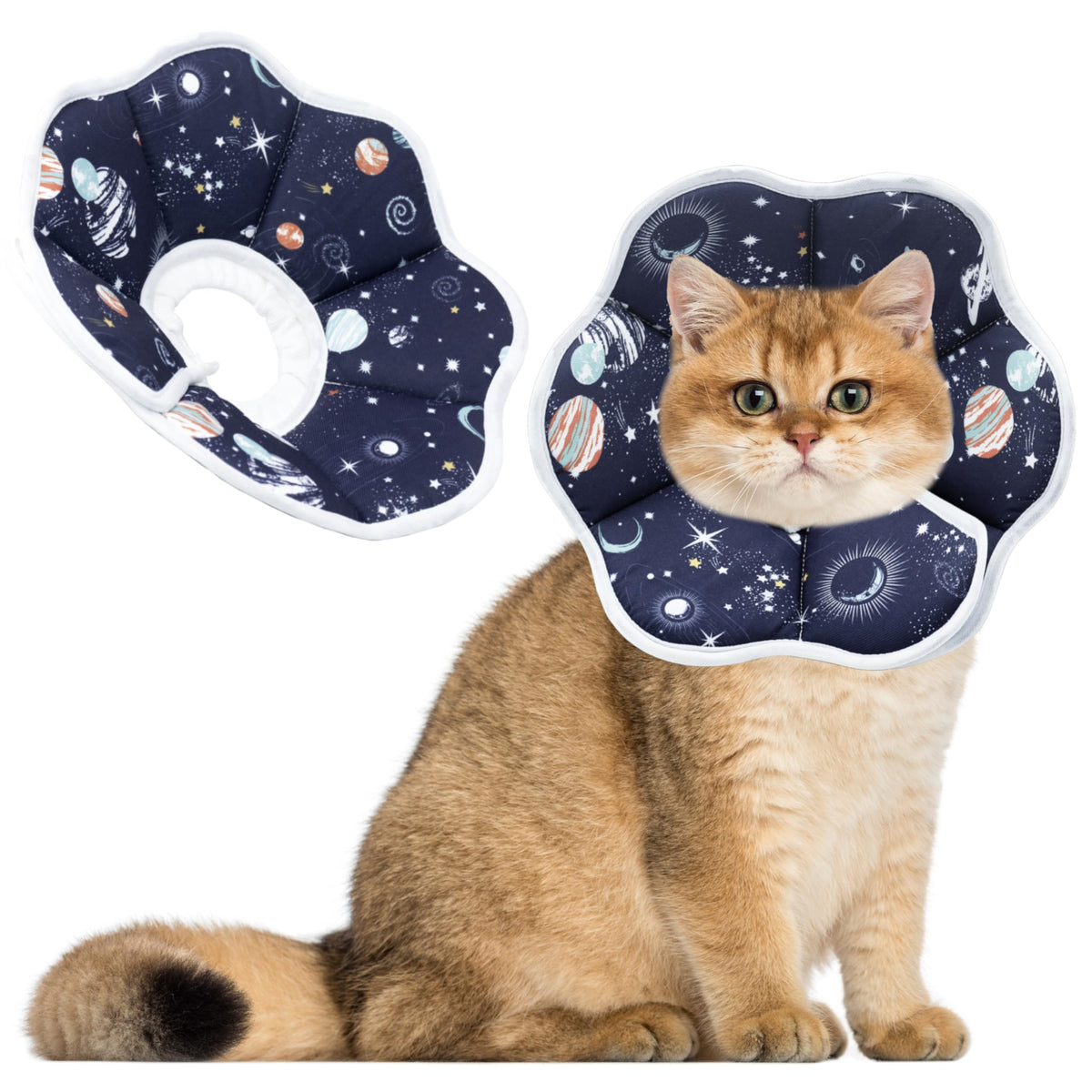 Soft cat cone