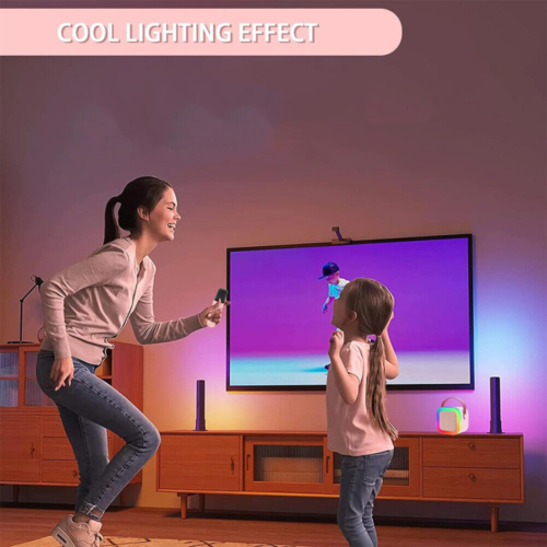 Haut-parleur Bluetooth Mini Karaoké pour enfants portables avec 2 microphones sans fil pour garçons