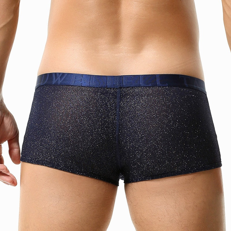 Sous-vêtements pour hommes Low Waist Sexy Mesh U Convex Boxers pour hommes Sous-vêtements pour hommes brillants