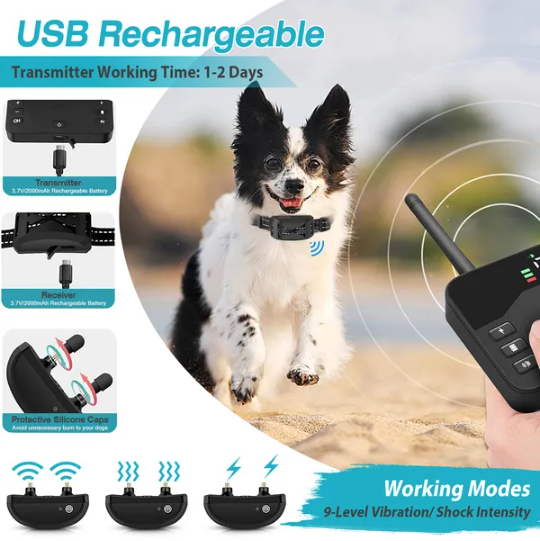 2 En 1 sans fil électrique chien Fence étanche Pet Shock Boundary Containment System Electr