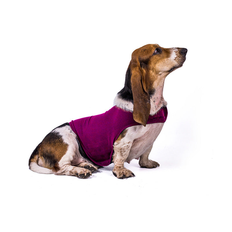Veste anxieuse Veste Traitement médical pour calmer les vêtements de chat
