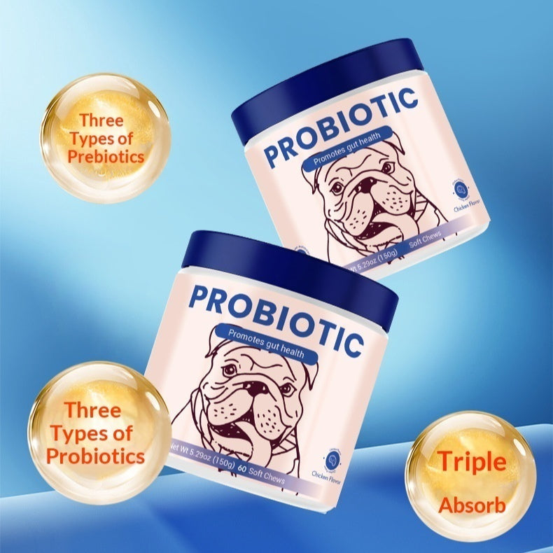 En stock Granules probiotiques anglaises pour chiens