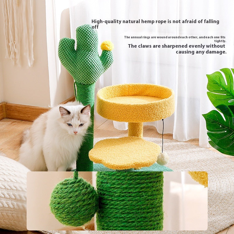 Jouet de cadre d'escalade Cat intégré Cactus