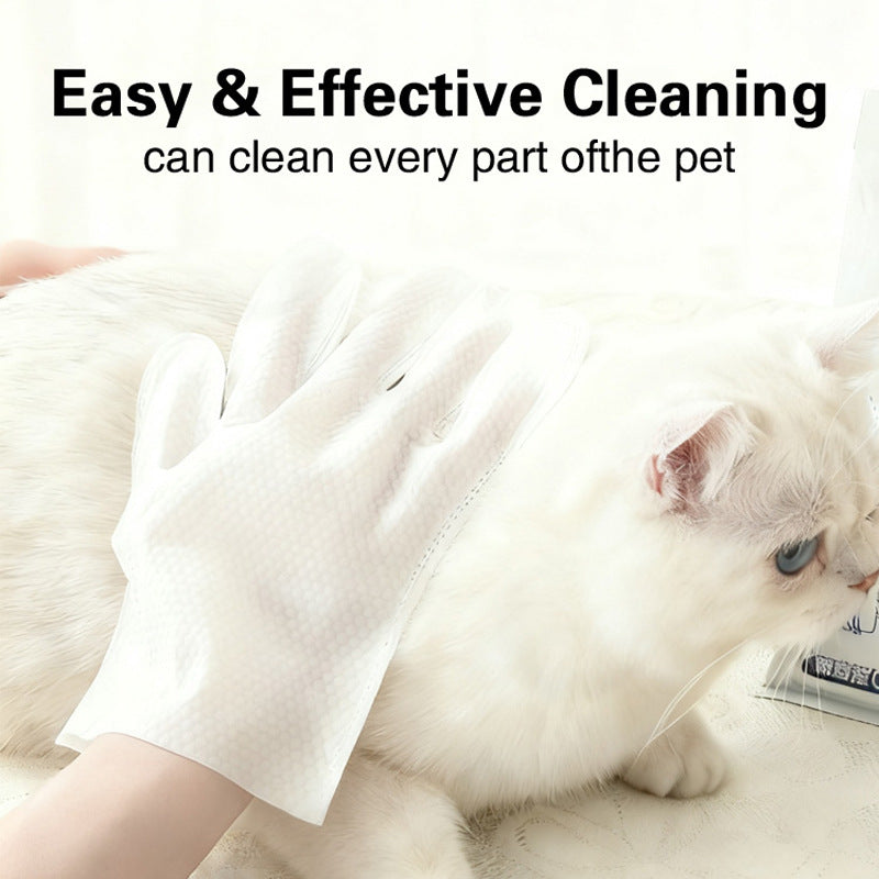 Gants pour animaux de compagnie désodorisants jetables