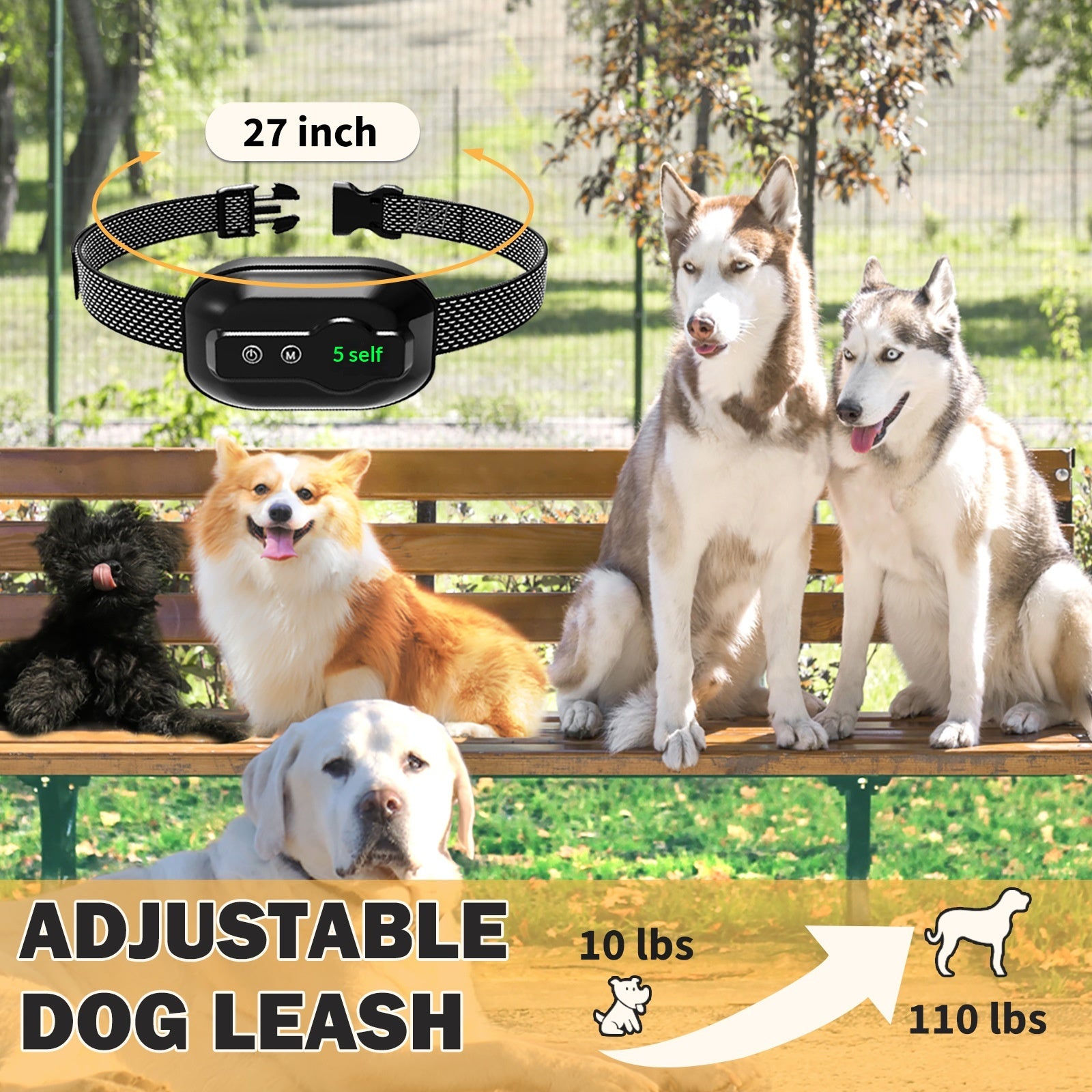 Dispositif d'entraînement à l'épreuve de l'eau de l'escroquerie pour chien intelligent