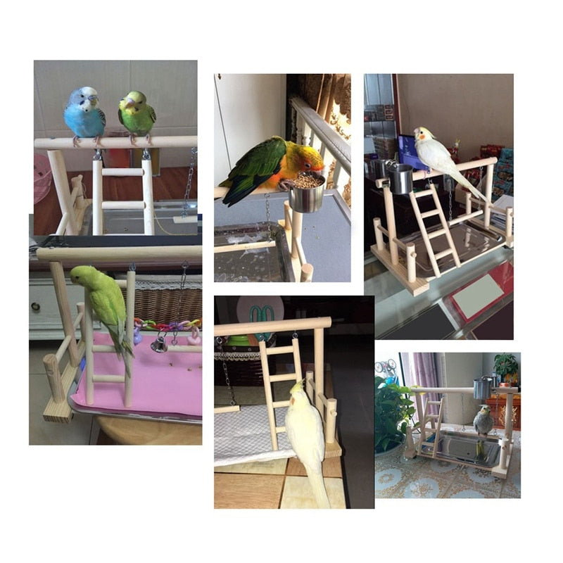 Support en bois pour perroquet à plancher de petite cockatiel