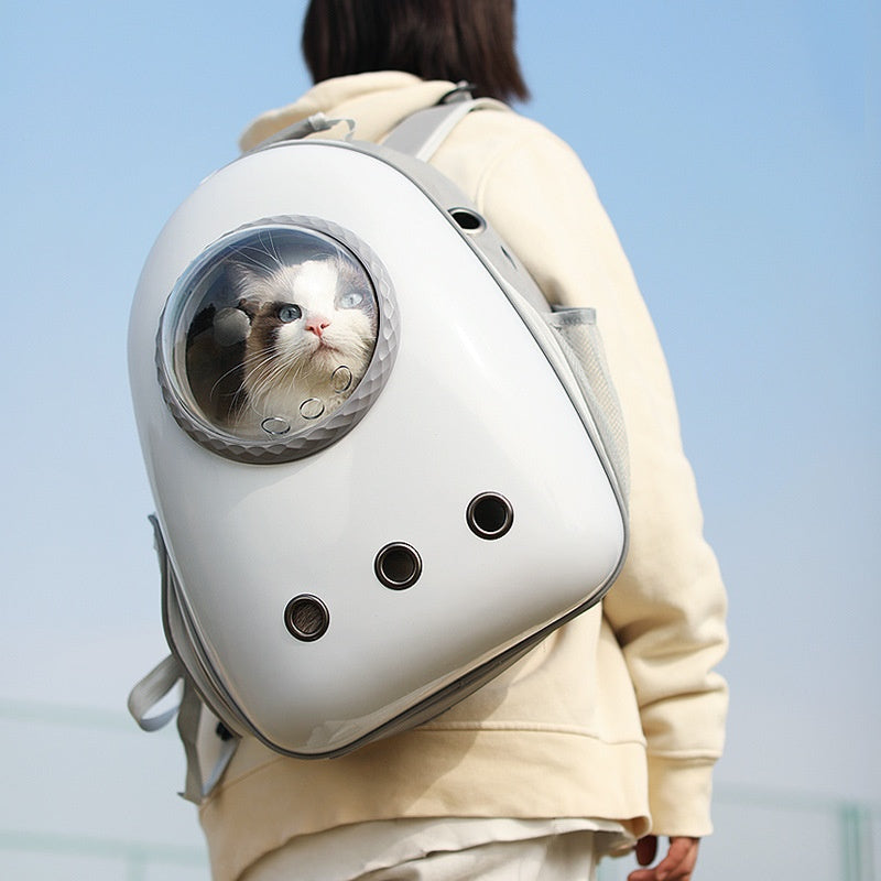 Grand côté capacité sac scolaire ouvert chat portable