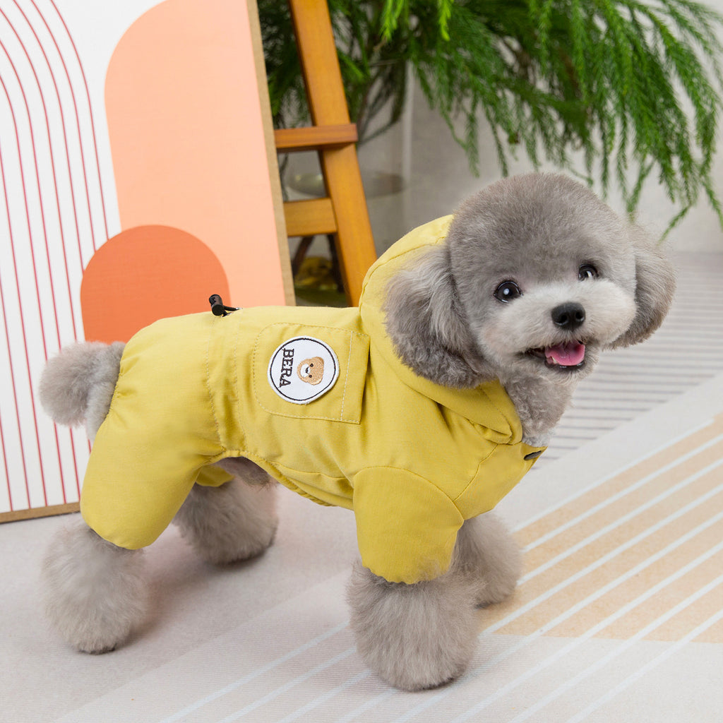 Mode chien Automne et vêtements d'hiver