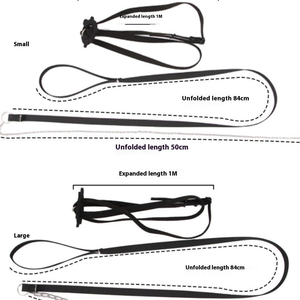 Sangle de traction de la tortue Pet Veste réglable