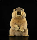 Poupée en peluche de lapin