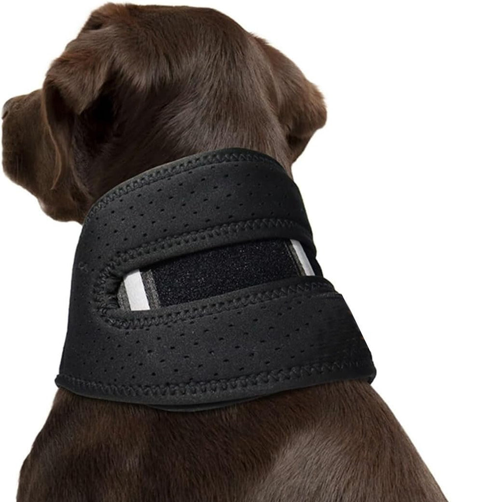 Collier d'animal réglable pour post-chirurgie Stabilité et protection contre les entorses de cou