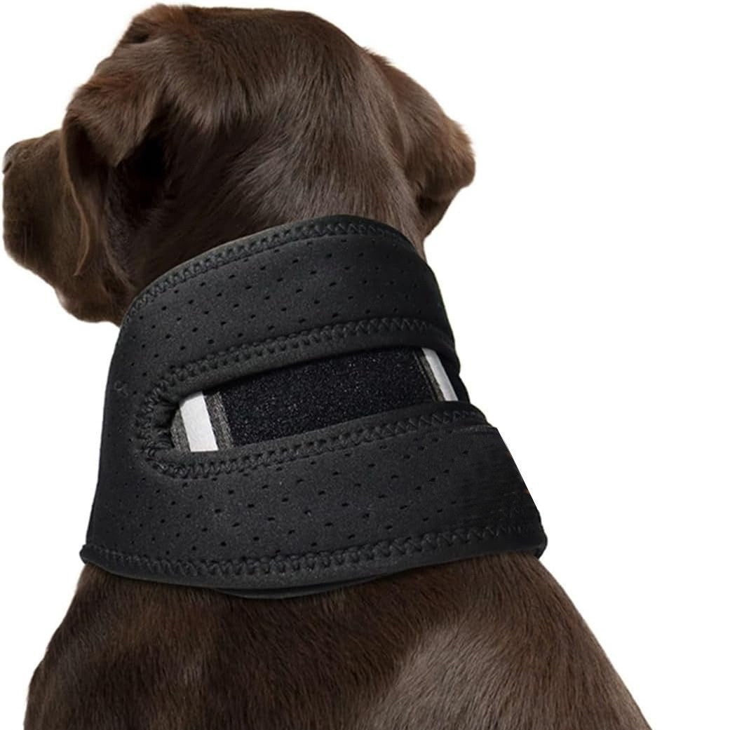 Collier d'animal réglable pour post-chirurgie Stabilité et protection contre les entorses de cou