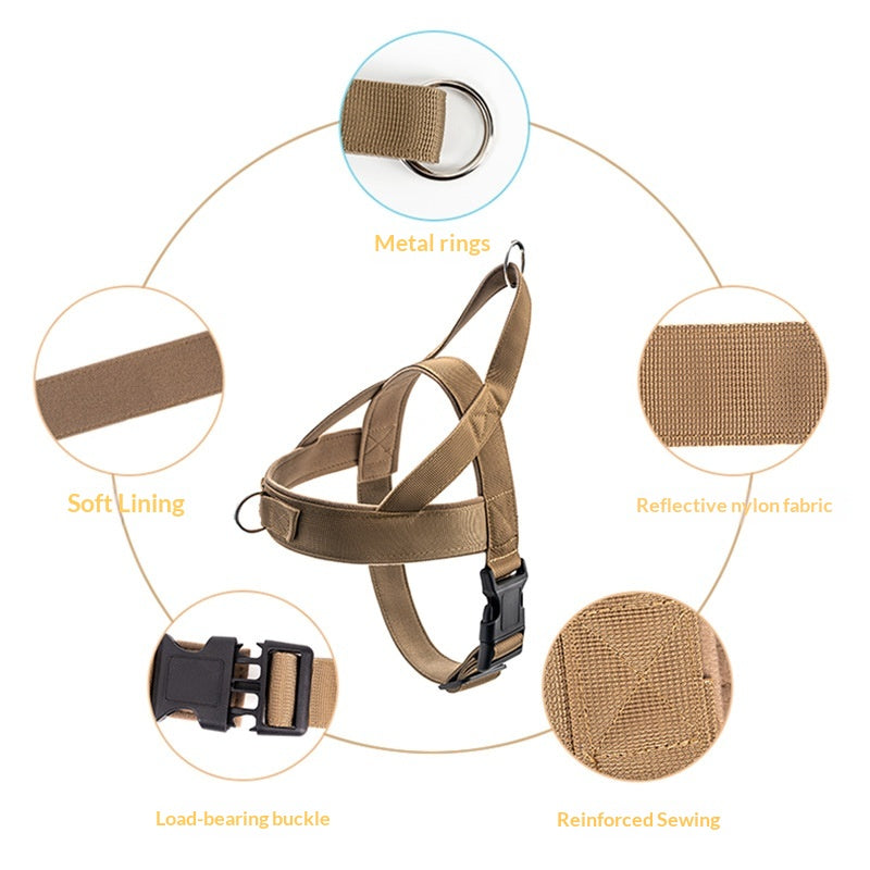 Dog Jacket Style Collar and Harness