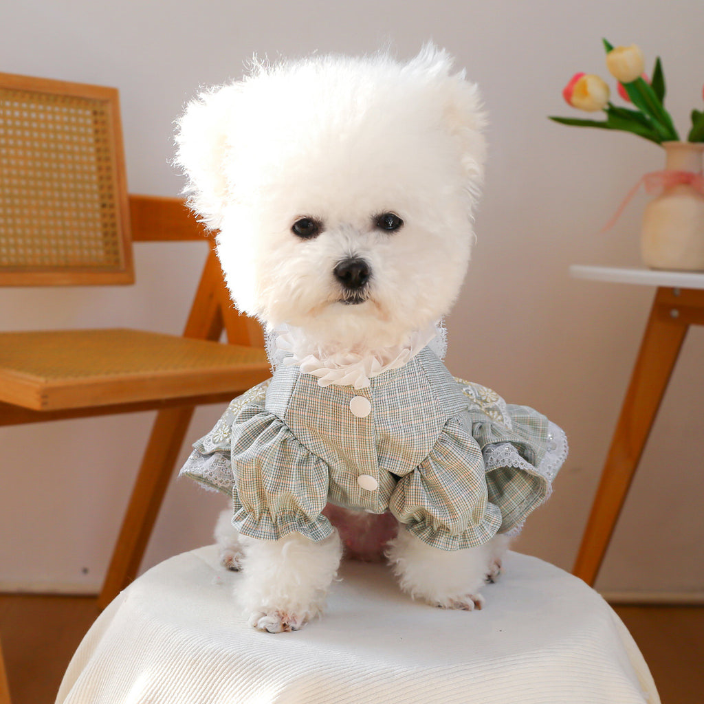 Jupe en dentelle pour petit chien de style court