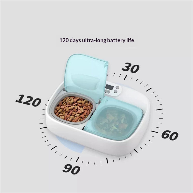 Feeder intelligent automatique à double alimentation avec minuterie