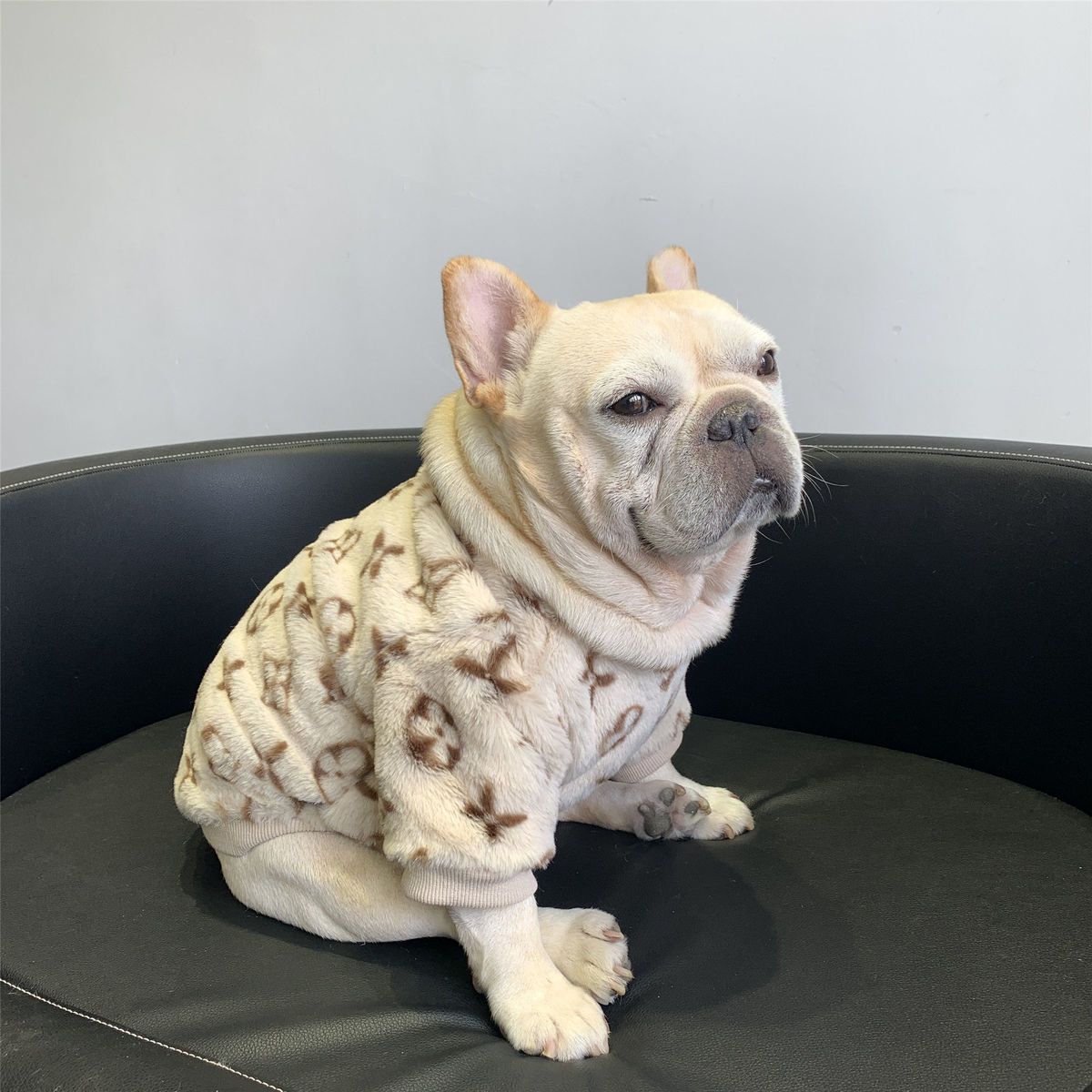 Vêtements de chien polaire doublé chaud rembourré garder Corgi et Shiba Inu Jarre Aero Bull