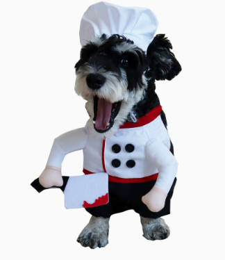 Vêtements pour animaux de compagnie Cat et vêtements pour chiens